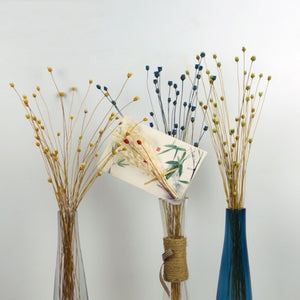 50 Stems Dried Flowers Happy Flower Natural Plants Bouquet Decorative Floral for Home Wedding Decoration Festival Party Supplies
