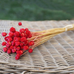 50 Stems Dried Flowers Happy Flower Natural Plants Bouquet Decorative Floral for Home Wedding Decoration Festival Party Supplies