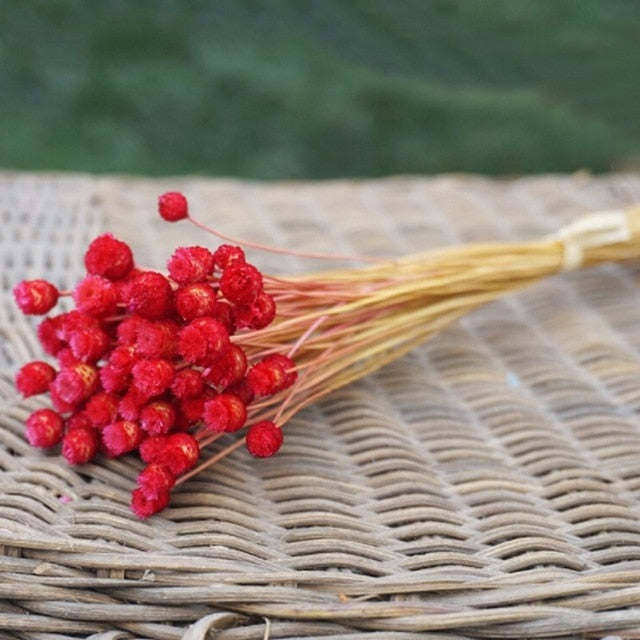 50 Stems Dried Flowers Happy Flower Natural Plants Bouquet Decorative Floral for Home Wedding Decoration Festival Party Supplies