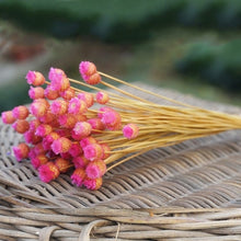 Load image into Gallery viewer, 50 Stems Dried Flowers Happy Flower Natural Plants Bouquet Decorative Floral for Home Wedding Decoration Festival Party Supplies