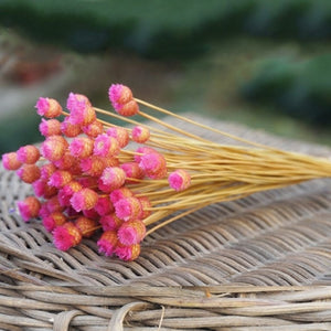 50 Stems Dried Flowers Happy Flower Natural Plants Bouquet Decorative Floral for Home Wedding Decoration Festival Party Supplies