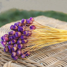 Load image into Gallery viewer, 50 Stems Dried Flowers Happy Flower Natural Plants Bouquet Decorative Floral for Home Wedding Decoration Festival Party Supplies