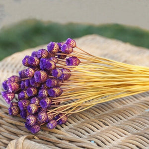 50 Stems Dried Flowers Happy Flower Natural Plants Bouquet Decorative Floral for Home Wedding Decoration Festival Party Supplies