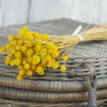 Load image into Gallery viewer, 50 Stems Dried Flowers Happy Flower Natural Plants Bouquet Decorative Floral for Home Wedding Decoration Festival Party Supplies