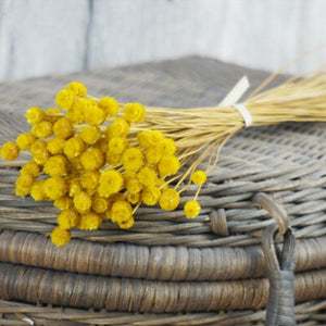 50 Stems Dried Flowers Happy Flower Natural Plants Bouquet Decorative Floral for Home Wedding Decoration Festival Party Supplies