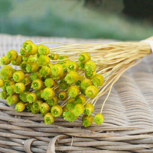 50 Stems Dried Flowers Happy Flower Natural Plants Bouquet Decorative Floral for Home Wedding Decoration Festival Party Supplies