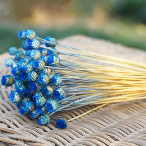 50 Stems Dried Flowers Happy Flower Natural Plants Bouquet Decorative Floral for Home Wedding Decoration Festival Party Supplies