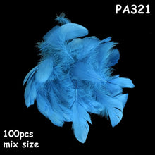 Load image into Gallery viewer, Transparent Bubble Balloons Wedding Birthday Feathers Sticker Feather Party Decor DIY Gifts Super Clear Helium Bobo Globos
