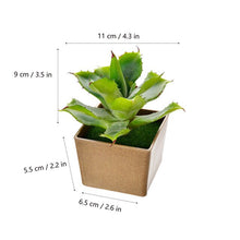 Load image into Gallery viewer, Artificial Flowers Succulents Ornaments With Plastic Flower Pot Mini Bonsai for Living Room Garden Decororation Succulents Plant