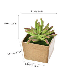 Artificial Flowers Succulents Ornaments With Plastic Flower Pot Mini Bonsai for Living Room Garden Decororation Succulents Plant