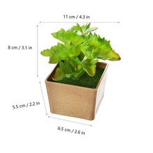 Load image into Gallery viewer, Artificial Flowers Succulents Ornaments With Plastic Flower Pot Mini Bonsai for Living Room Garden Decororation Succulents Plant