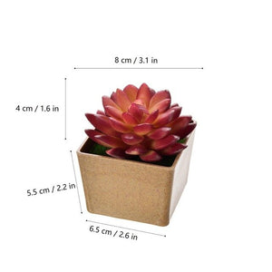 Artificial Flowers Succulents Ornaments With Plastic Flower Pot Mini Bonsai for Living Room Garden Decororation Succulents Plant