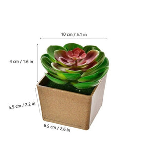 Artificial Flowers Succulents Ornaments With Plastic Flower Pot Mini Bonsai for Living Room Garden Decororation Succulents Plant
