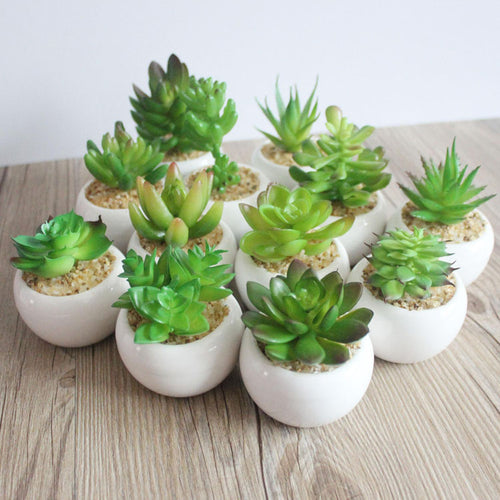 Mini Potted Artificial Green succulent plants