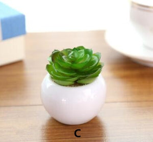 Mini Potted Artificial Green succulent plants