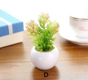 Mini Potted Artificial Green succulent plants