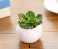 Load image into Gallery viewer, Mini Potted Artificial Green succulent plants