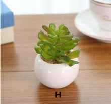 Load image into Gallery viewer, Mini Potted Artificial Green succulent plants