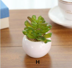 Mini Potted Artificial Green succulent plants