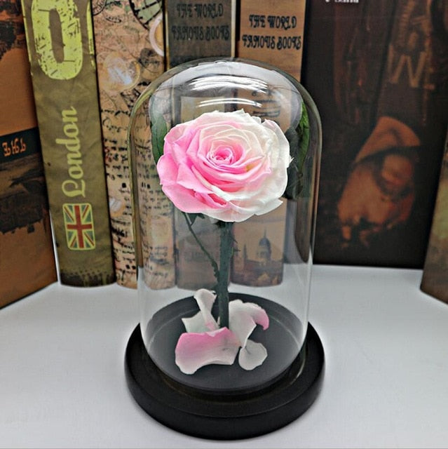 Black Forever Rose Flower Preserved Immortal Fresh Rose In Glass Vase Cloche Wedding Decorations Unique Gifts