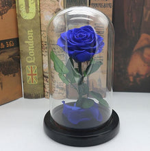 Load image into Gallery viewer, Black Forever Rose Flower Preserved Immortal Fresh Rose In Glass Vase Cloche Wedding Decorations Unique Gifts