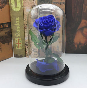 Black Forever Rose Flower Preserved Immortal Fresh Rose In Glass Vase Cloche Wedding Decorations Unique Gifts