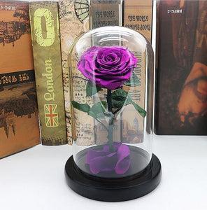 Black Forever Rose Flower Preserved Immortal Fresh Rose In Glass Vase Cloche Wedding Decorations Unique Gifts