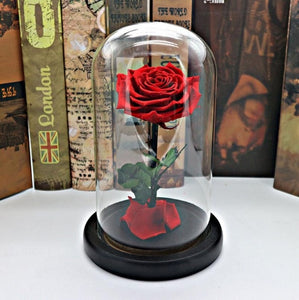 Black Forever Rose Flower Preserved Immortal Fresh Rose In Glass Vase Cloche Wedding Decorations Unique Gifts