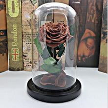 Load image into Gallery viewer, Black Forever Rose Flower Preserved Immortal Fresh Rose In Glass Vase Cloche Wedding Decorations Unique Gifts