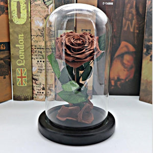 Black Forever Rose Flower Preserved Immortal Fresh Rose In Glass Vase Cloche Wedding Decorations Unique Gifts