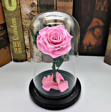Load image into Gallery viewer, Black Forever Rose Flower Preserved Immortal Fresh Rose In Glass Vase Cloche Wedding Decorations Unique Gifts