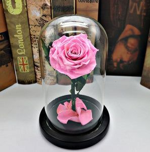 Black Forever Rose Flower Preserved Immortal Fresh Rose In Glass Vase Cloche Wedding Decorations Unique Gifts