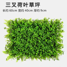 Load image into Gallery viewer, Luyue Plant Wall Artificial Lawn Boxwood Hedge Garden Backyard Home Decor Simulation Grass Turf Rug Lawn Outdoor Flower wall