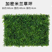Load image into Gallery viewer, Luyue Plant Wall Artificial Lawn Boxwood Hedge Garden Backyard Home Decor Simulation Grass Turf Rug Lawn Outdoor Flower wall