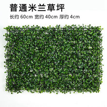 Load image into Gallery viewer, Luyue Plant Wall Artificial Lawn Boxwood Hedge Garden Backyard Home Decor Simulation Grass Turf Rug Lawn Outdoor Flower wall