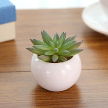 Load image into Gallery viewer, Mini Potted Artificial Green succulent plants