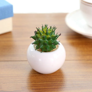 Mini Potted Artificial Green succulent plants