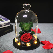 Load image into Gallery viewer, Eternal Preserved Fresh Rose Lovely Teddy Bear Molding Led Light In A Flask Immortal Rose Valentine&#39;s Day Mother&#39;s Day Gifts