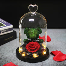 Load image into Gallery viewer, Eternal Preserved Fresh Rose Lovely Teddy Bear Molding Led Light In A Flask Immortal Rose Valentine&#39;s Day Mother&#39;s Day Gifts