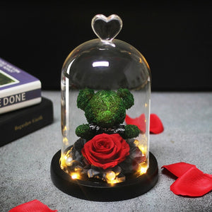 Eternal Preserved Fresh Rose Lovely Teddy Bear Molding Led Light In A Flask Immortal Rose Valentine's Day Mother's Day Gifts