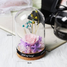 Load image into Gallery viewer, Eternal Preserved Fresh Rose Lovely Teddy Bear Molding Led Light In A Flask Immortal Rose Valentine&#39;s Day Mother&#39;s Day Gifts