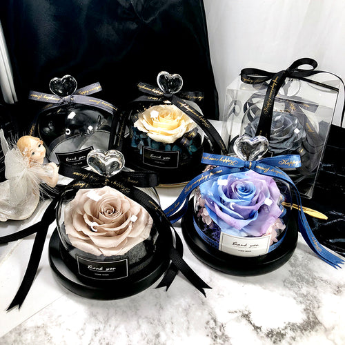 Creative Presents Eternal Exclusive Rose in Glass Dome The Beauty and Beast Rose Romantic Valentine's Day Gifts Teachers' Gift