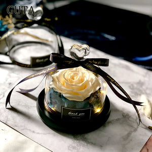 Creative Presents Eternal Exclusive Rose in Glass Dome The Beauty and Beast Rose Romantic Valentine's Day Gifts Teachers' Gift